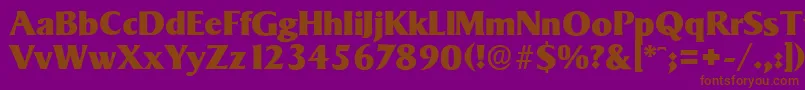 SigvarserialHeavyRegular Font – Brown Fonts on Purple Background