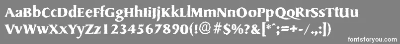 フォントSydneyantiqueBold – 灰色の背景に白い文字