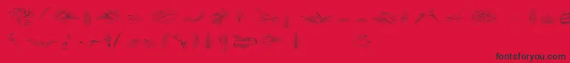 PenmanshipBirdsAndOrnamentsFree Font – Black Fonts on Red Background