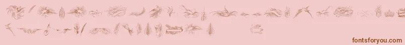 PenmanshipBirdsAndOrnamentsFree Font – Brown Fonts on Pink Background