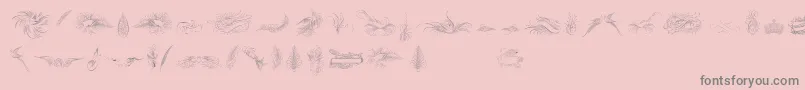 PenmanshipBirdsAndOrnamentsFree Font – Gray Fonts on Pink Background