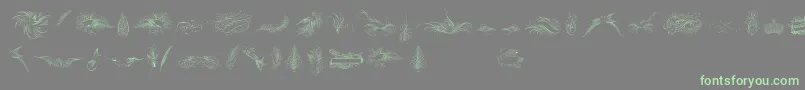 PenmanshipBirdsAndOrnamentsFree Font – Green Fonts on Gray Background