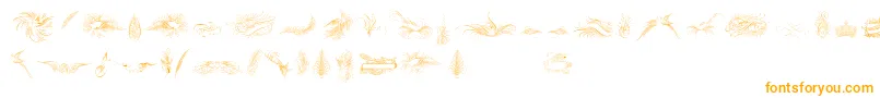 PenmanshipBirdsAndOrnamentsFree Font – Orange Fonts on White Background