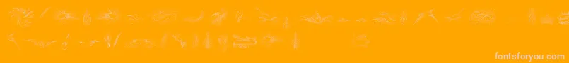 PenmanshipBirdsAndOrnamentsFree Font – Pink Fonts on Orange Background