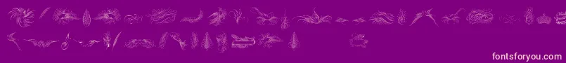 PenmanshipBirdsAndOrnamentsFree Font – Pink Fonts on Purple Background