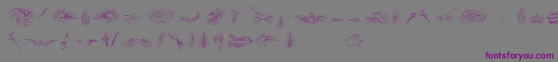 PenmanshipBirdsAndOrnamentsFree Font – Purple Fonts on Gray Background