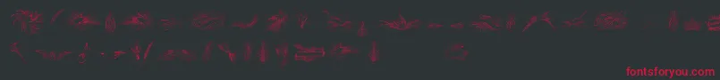 PenmanshipBirdsAndOrnamentsFree Font – Red Fonts on Black Background