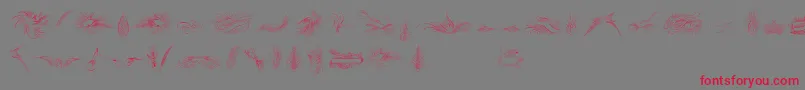 Police PenmanshipBirdsAndOrnamentsFree – polices rouges sur fond gris