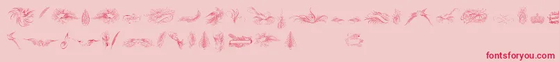 Police PenmanshipBirdsAndOrnamentsFree – polices rouges sur fond rose