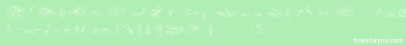 PenmanshipBirdsAndOrnamentsFree Font – White Fonts on Green Background