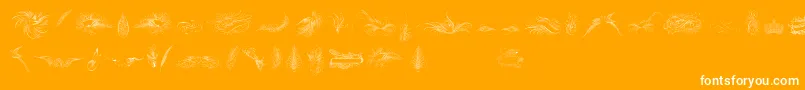 PenmanshipBirdsAndOrnamentsFree Font – White Fonts on Orange Background