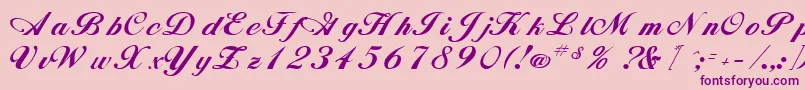 AnnebergRegular Font – Purple Fonts on Pink Background