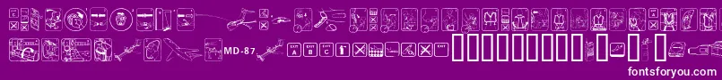 FastenyourseatbeltcleanReg-Schriftart – Weiße Schriften auf violettem Hintergrund
