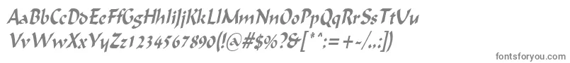 フォントIgnaciouscondensedItalic – 白い背景に灰色の文字