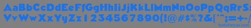 フォントNeasdenRegularDb – 灰色の背景に青い文字