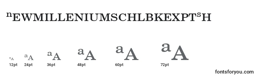 NewmilleniumschlbkexptSh Font Sizes