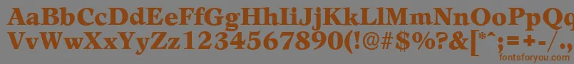 LeamingtonserialBlackRegular Font – Brown Fonts on Gray Background