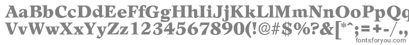 LeamingtonserialBlackRegular Font – Gray Fonts on White Background