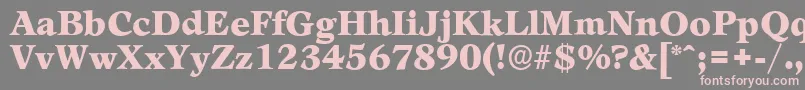 フォントLeamingtonserialBlackRegular – 灰色の背景にピンクのフォント
