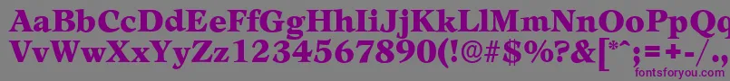 LeamingtonserialBlackRegular Font – Purple Fonts on Gray Background