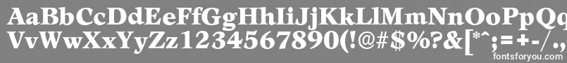 フォントLeamingtonserialBlackRegular – 灰色の背景に白い文字
