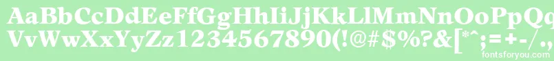 フォントLeamingtonserialBlackRegular – 緑の背景に白い文字