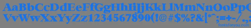 BernsteinantiqueHeavyRegular Font – Blue Fonts on Gray Background