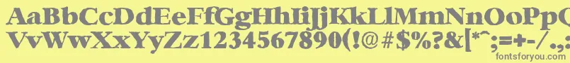 BernsteinantiqueHeavyRegular Font – Gray Fonts on Yellow Background