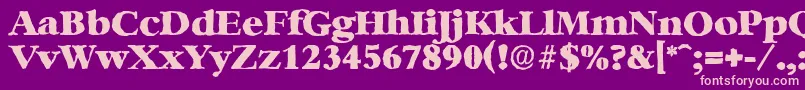 BernsteinantiqueHeavyRegular Font – Pink Fonts on Purple Background