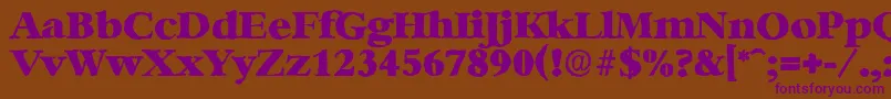 BernsteinantiqueHeavyRegular Font – Purple Fonts on Brown Background