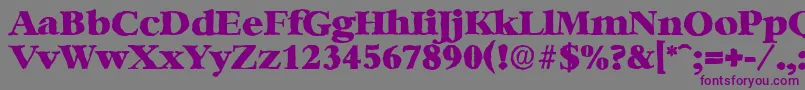 BernsteinantiqueHeavyRegular Font – Purple Fonts on Gray Background