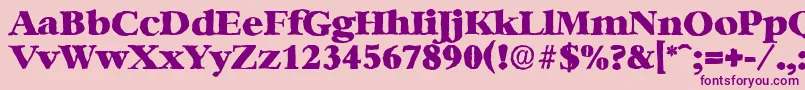BernsteinantiqueHeavyRegular Font – Purple Fonts on Pink Background