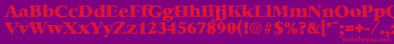 BernsteinantiqueHeavyRegular Font – Red Fonts on Purple Background