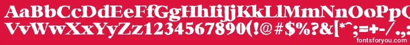 BernsteinantiqueHeavyRegular Font – White Fonts on Red Background