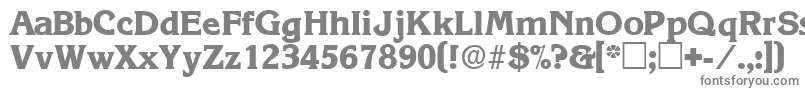 ViticadisplaysskRegular Font – Gray Fonts on White Background
