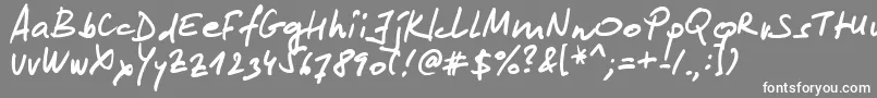 Lipsum Font – White Fonts on Gray Background