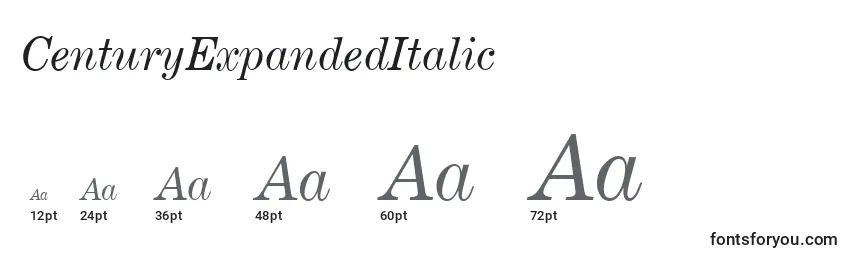 CenturyExpandedItalic Font Sizes