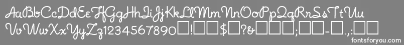 Noodlescript Font – White Fonts on Gray Background