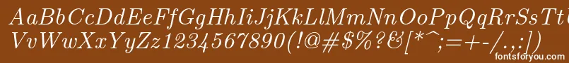 フォントLmroman9Italic – 茶色の背景に白い文字