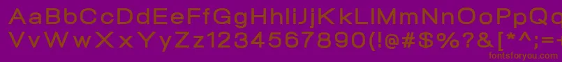 NeogramBoldextd Font – Brown Fonts on Purple Background