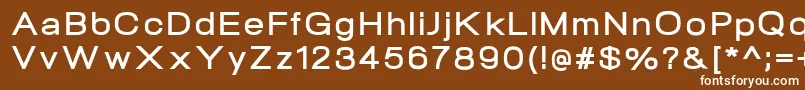 NeogramBoldextd Font – White Fonts on Brown Background