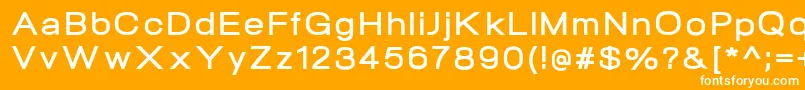 NeogramBoldextd Font – White Fonts on Orange Background