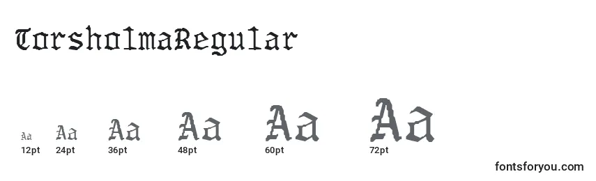 Размеры шрифта TorsholmaRegular