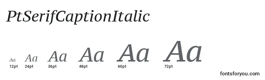 Размеры шрифта PtSerifCaptionItalic