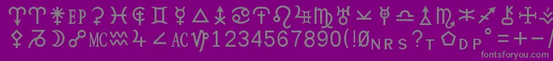 Hamburgsymbols Font – Gray Fonts on Purple Background