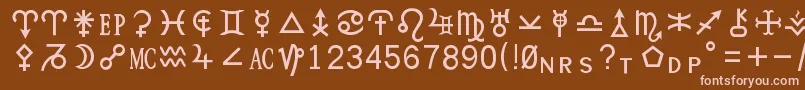 More about Hamburgsymbols Font Hamburgsymbols Font – Pink Fonts on Brown Background