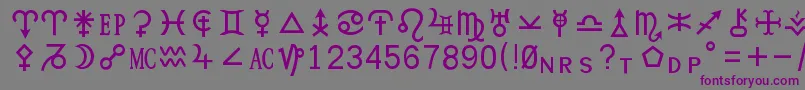 Hamburgsymbols Font – Purple Fonts on Gray Background