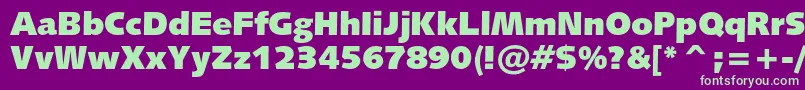 Humanist531cultrablackbt Font – Green Fonts on Purple Background