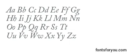 AcaslonproItalic Font
