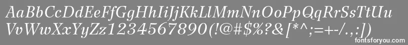 フォントWilkeltstdItalic – 灰色の背景に白い文字